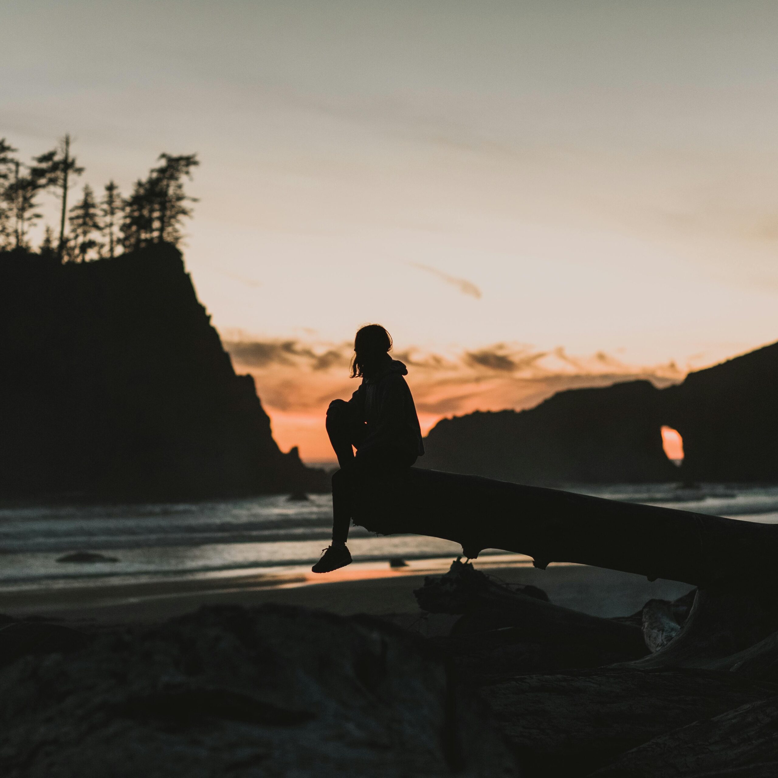 A person sits on a log, silhouetted against a vibrant beach sunset.